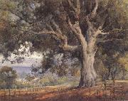 unknow artist Oak Tree oil painting reproduction